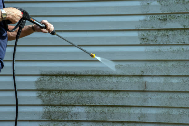Best Affordable Pressure Washing  in Milam, TX